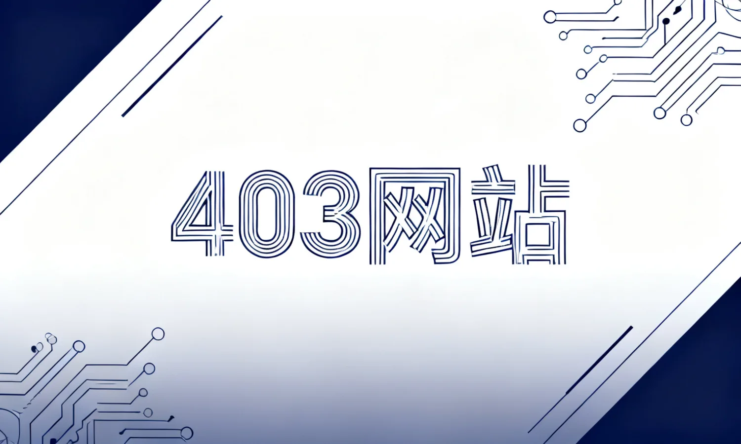 403网站