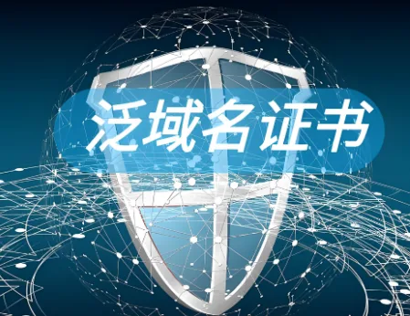 泛域名证书