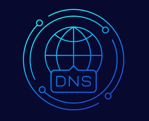 DNS查询