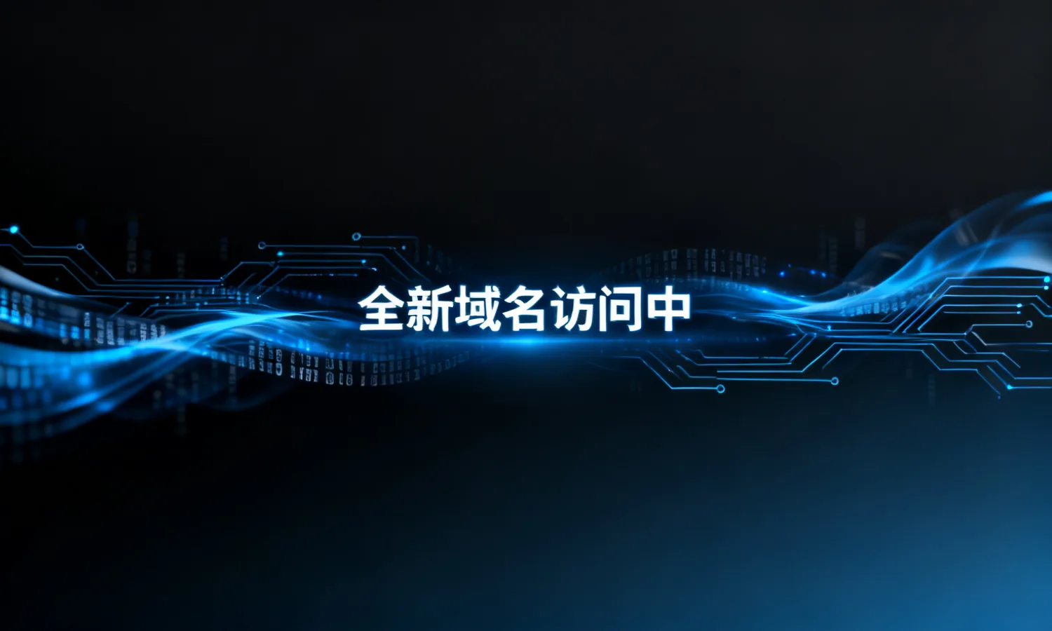全新域名访问中