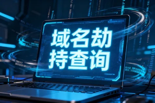 域名劫持查询