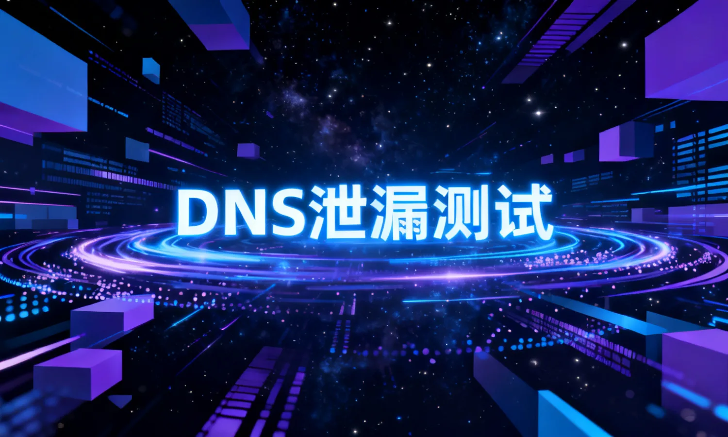 DNS泄漏测试