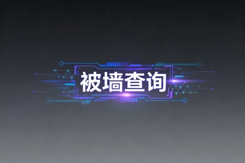 被墙查询