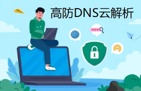 高防DNS云解析