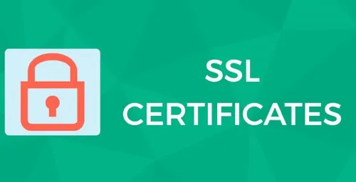 SSL证书类型
