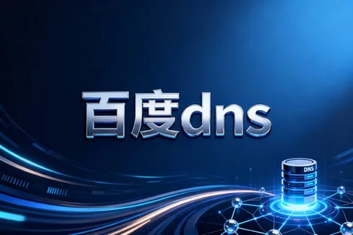百度dns