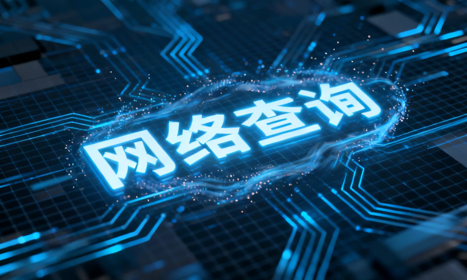 网络查询