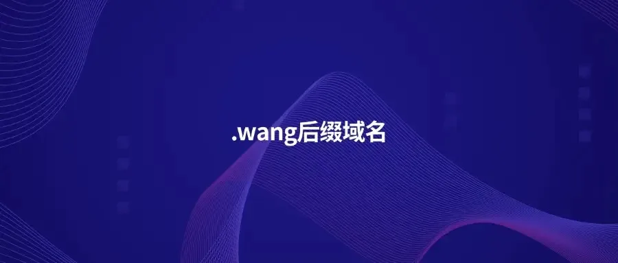 wang域名