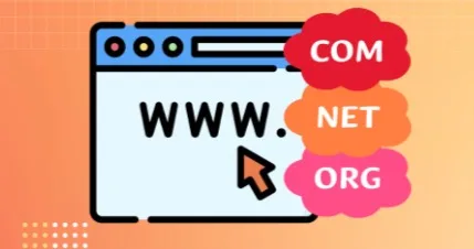 网站域名查询