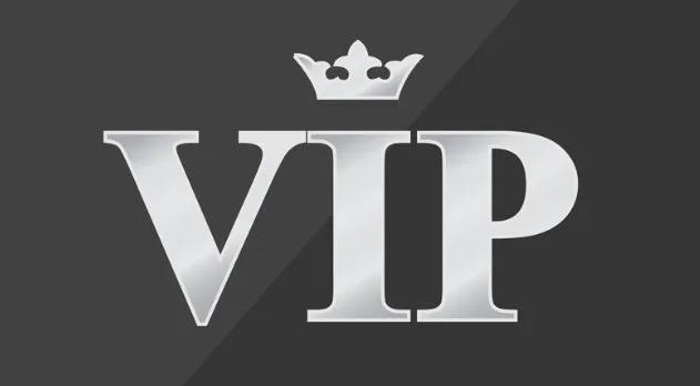 域名后缀vip