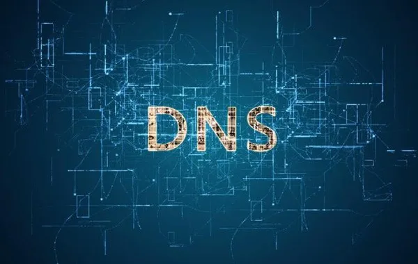 私有DNS