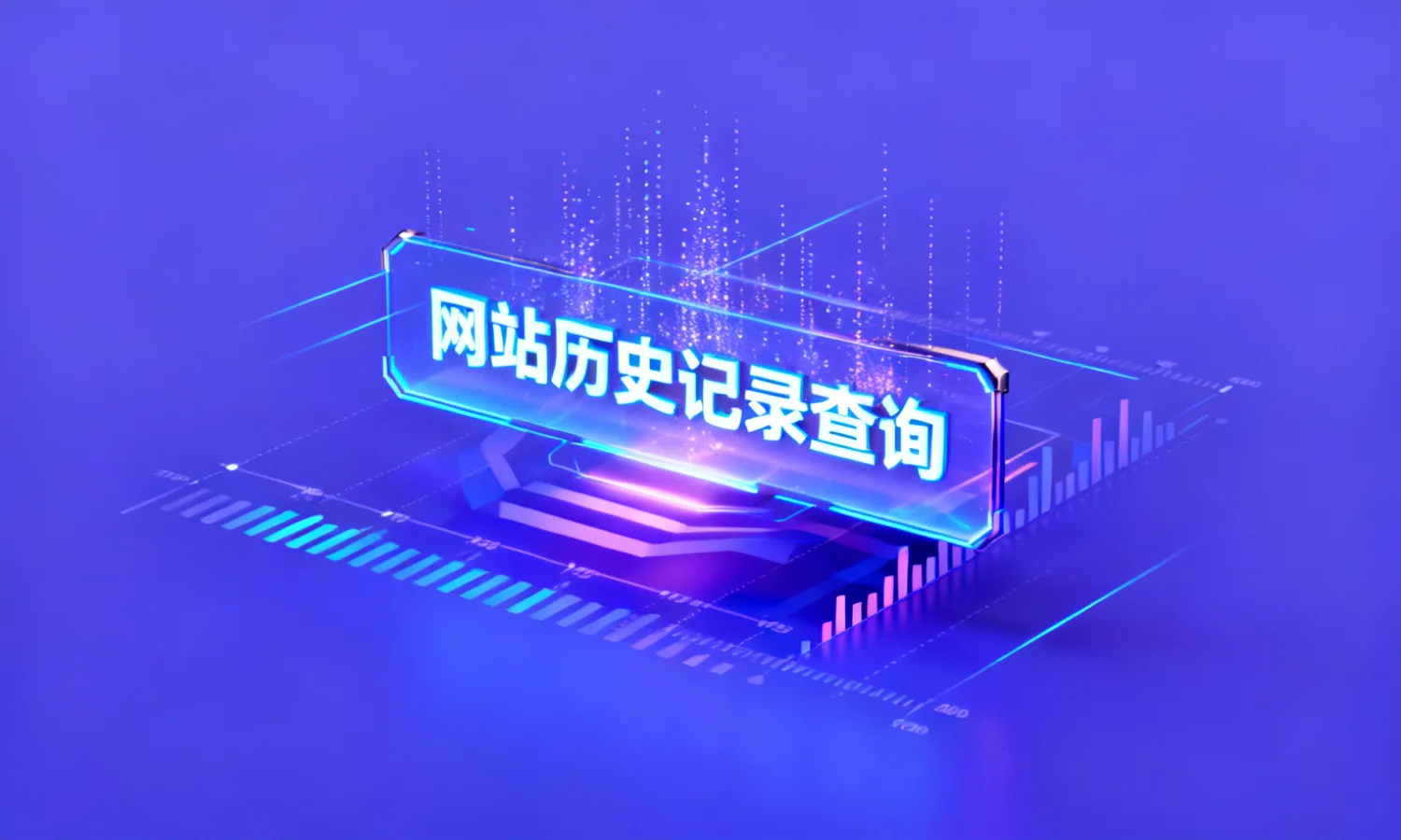 网站历史记录查询
