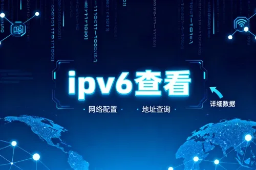 ipv6查看