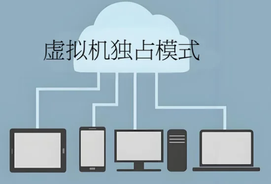 虚拟机独占模式