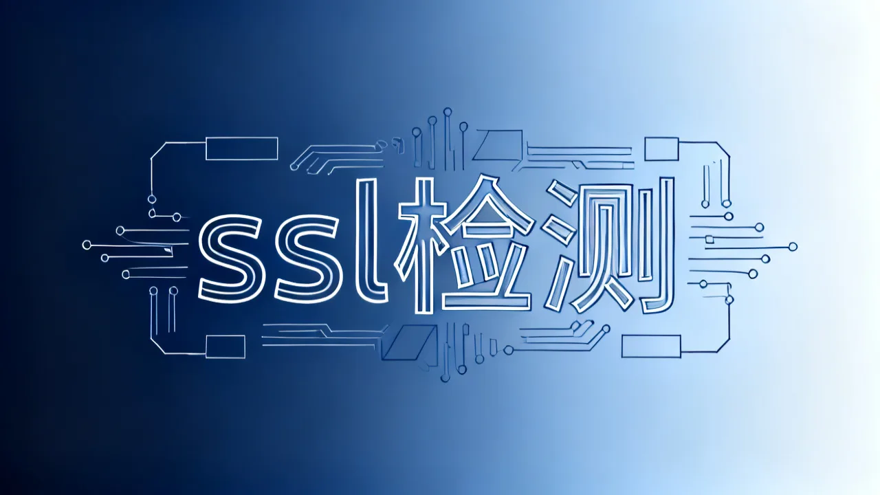 ssl检测