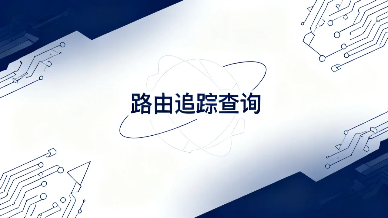 路由追踪查询