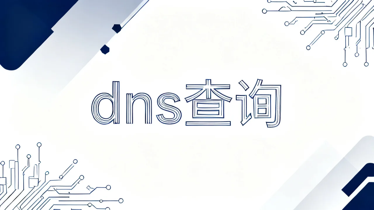 dns查询