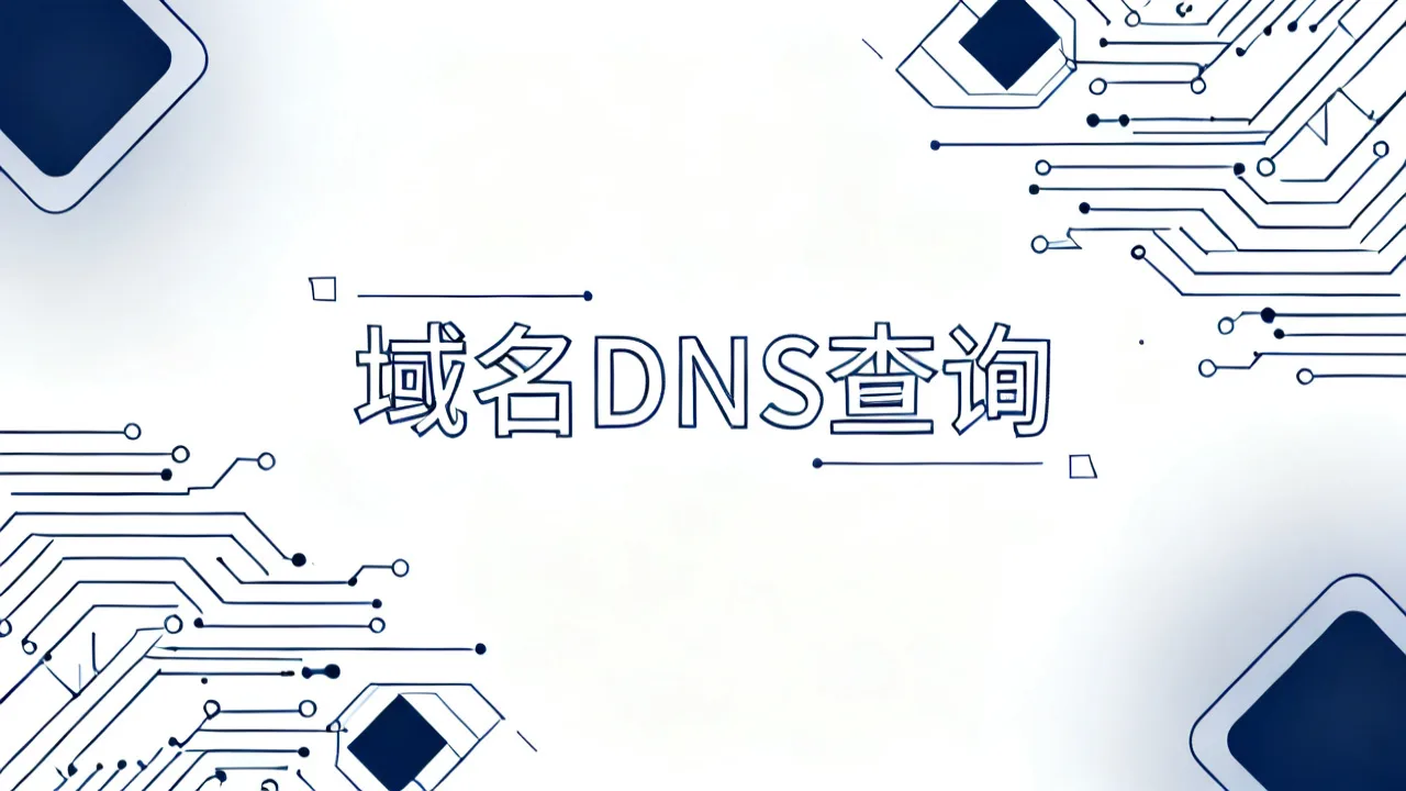 域名DNS查询