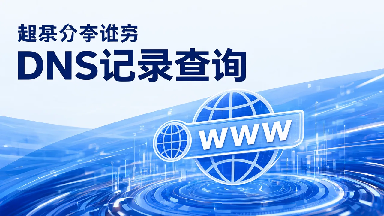 DNS记录查询