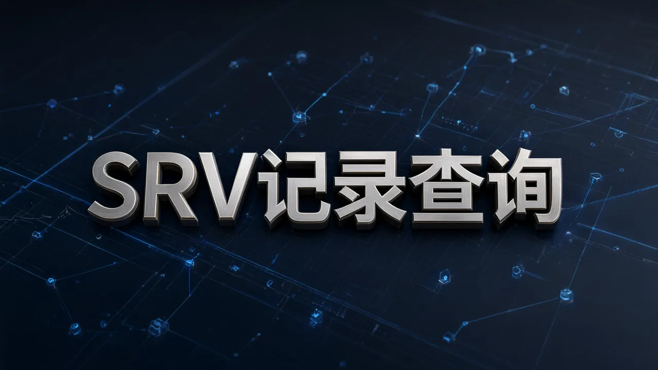 SRV记录查询