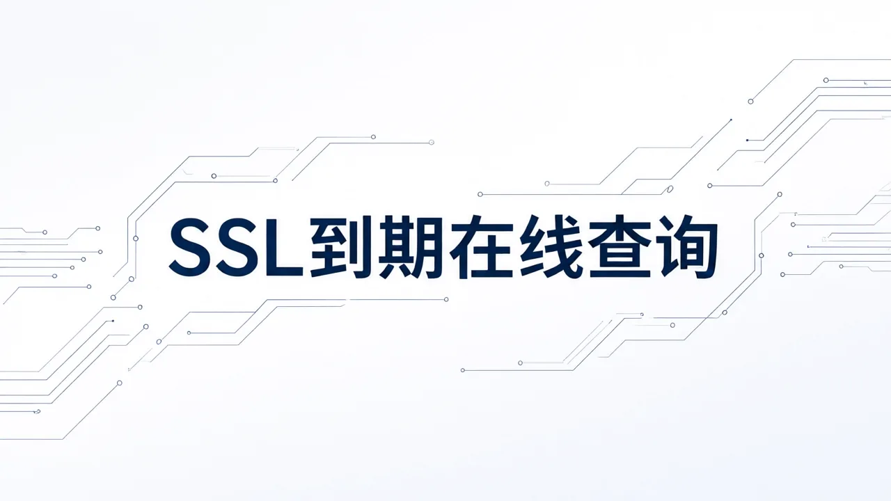 SSL到期在线查询