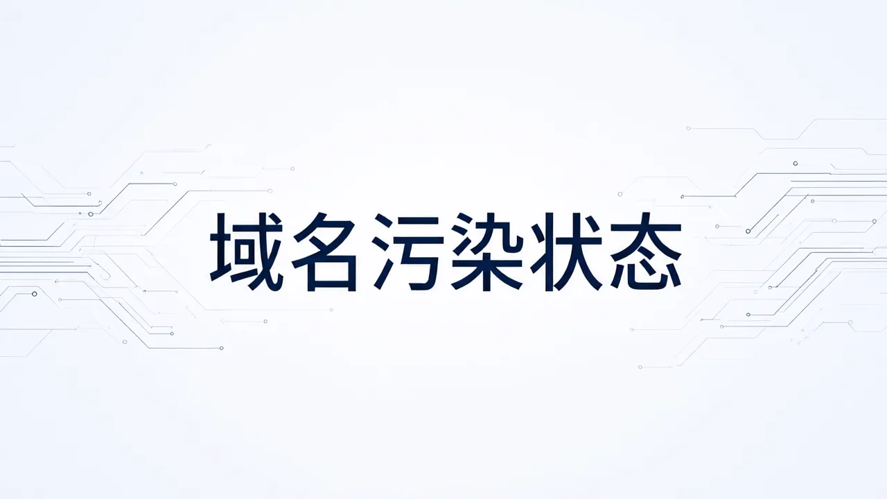 域名污染状态