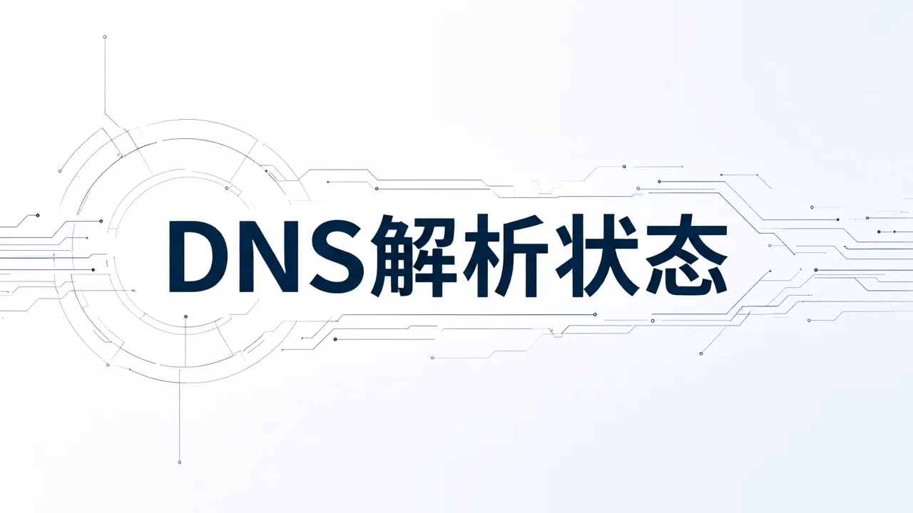 DNS解析状态