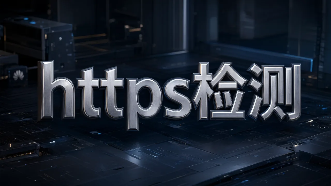 https检测