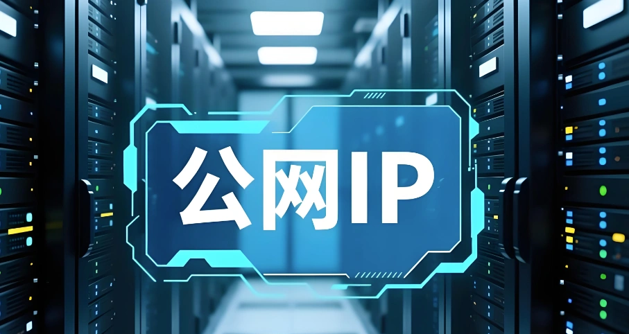 公网ip查询