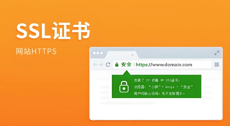 https证书查询