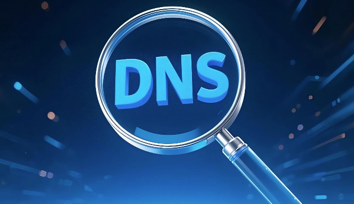 dns服务器查询