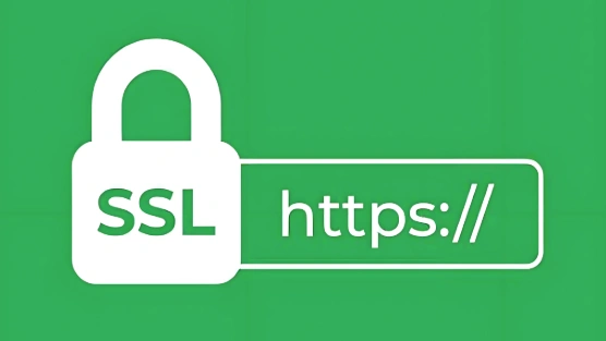 ssl安全查询